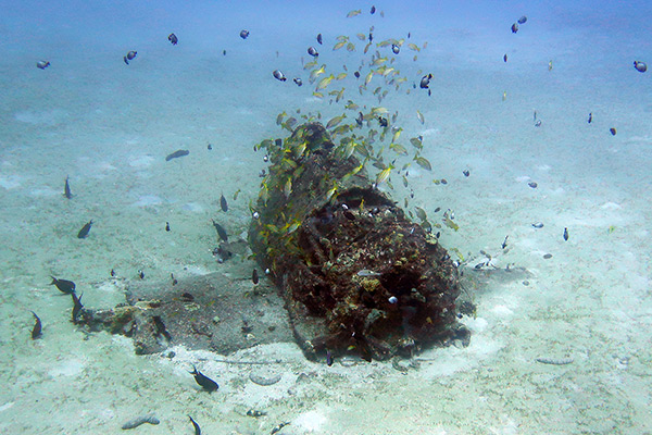 PacificWrecks.com