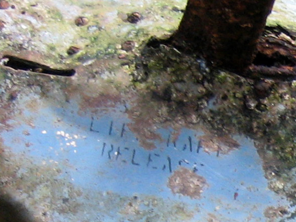 PacificWrecks.com