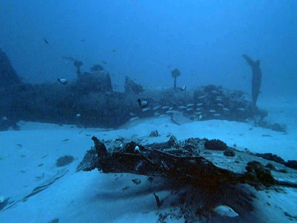 PacificWrecks.com