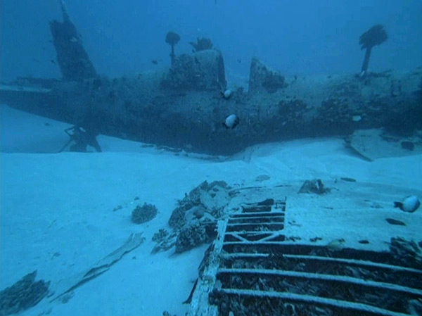 PacificWrecks.com