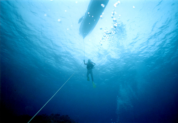 PacificWrecks.com