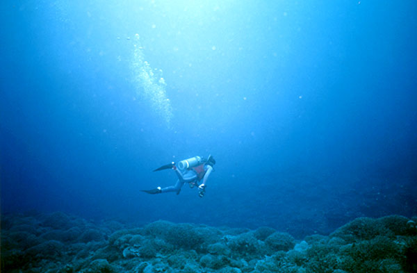 PacificWrecks.com