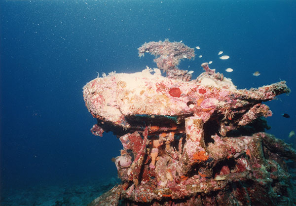 PacificWrecks.com