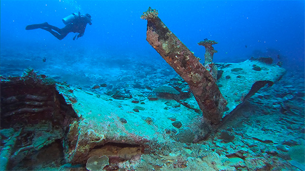 PacificWrecks.com