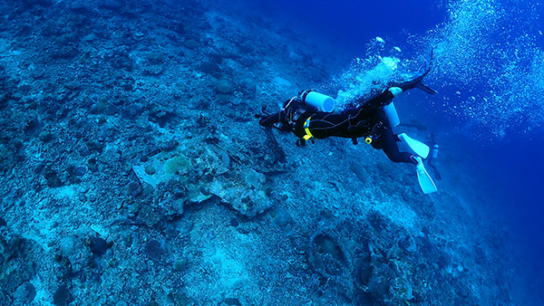 PacificWrecks.com