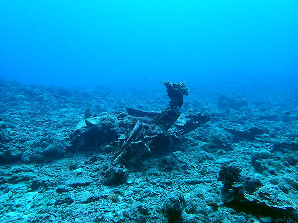 PacificWrecks.com