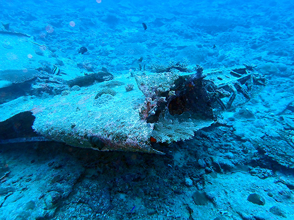 PacificWrecks.com