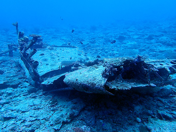 PacificWrecks.com