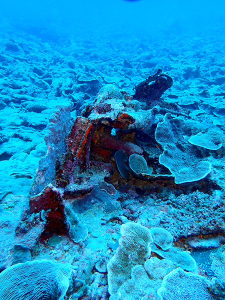 PacificWrecks.com