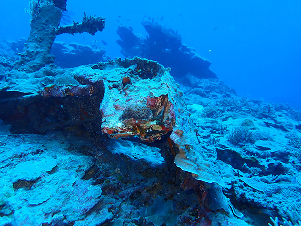 PacificWrecks.com