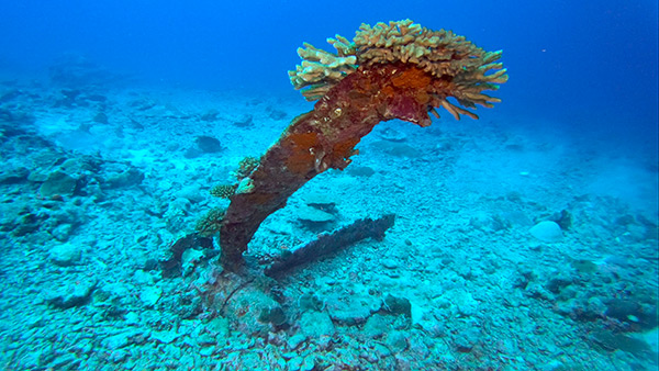 PacificWrecks.com