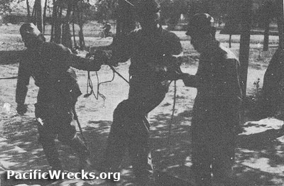 PacificWrecks.com