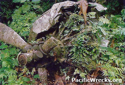 PacificWrecks.com