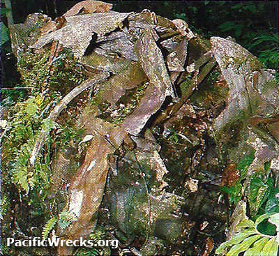 PacificWrecks.com