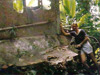 Click For Enlargement