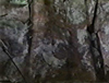 Click For Enlargement
