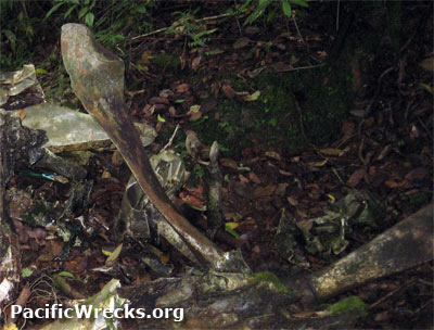 PacificWrecks.com