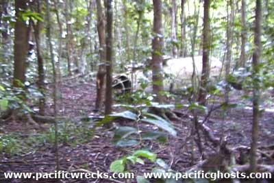 PacificWrecks.com