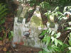 Click For Enlargement