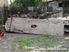 Click For Enlargement