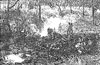 Click For Enlargement