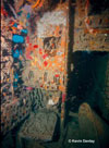 Click For Enlargement