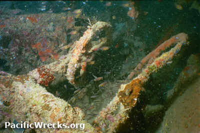 PacificWrecks.com