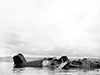 Click For Enlargement