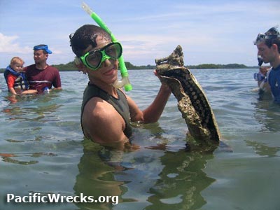 PacificWrecks.com