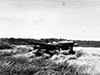 Click For Enlargement