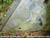 Click For Enlargement