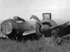 Click For Enlargement