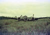 Click For Enlargement