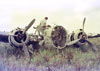 Click For Enlargement