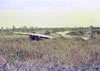 Click For Enlargement