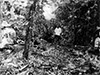 Click For Enlargement