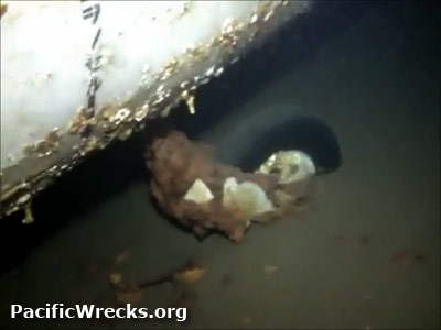 PacificWrecks.com