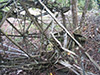 Click For Enlargement