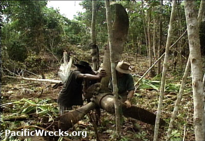 PacificWrecks.com