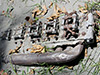 Click For Enlargement