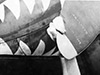 PacificWrecks.com