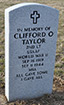 Click For Enlargement