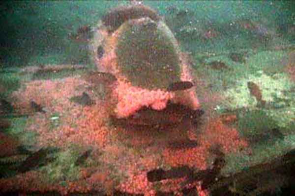 PacificWrecks.com