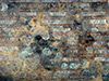 Click For Enlargement