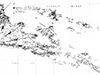 Click For Enlargement
