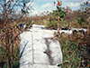 Click For Enlargement