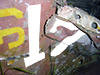 Click For Enlargement