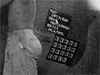 Click For Enlargement