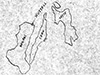 Click For Enlargement