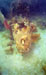 Click For Enlargement
